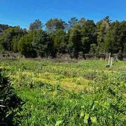 Alugo terreno + 9000 m2 com Luz e água, Seguro, Quinta Fechada