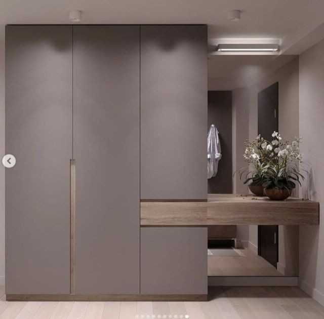 Шкаф прихожая в стиле минимализм скандинавский распашной шкаф