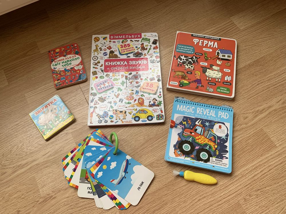 Розвиваючі іграшки та книги і конструктор