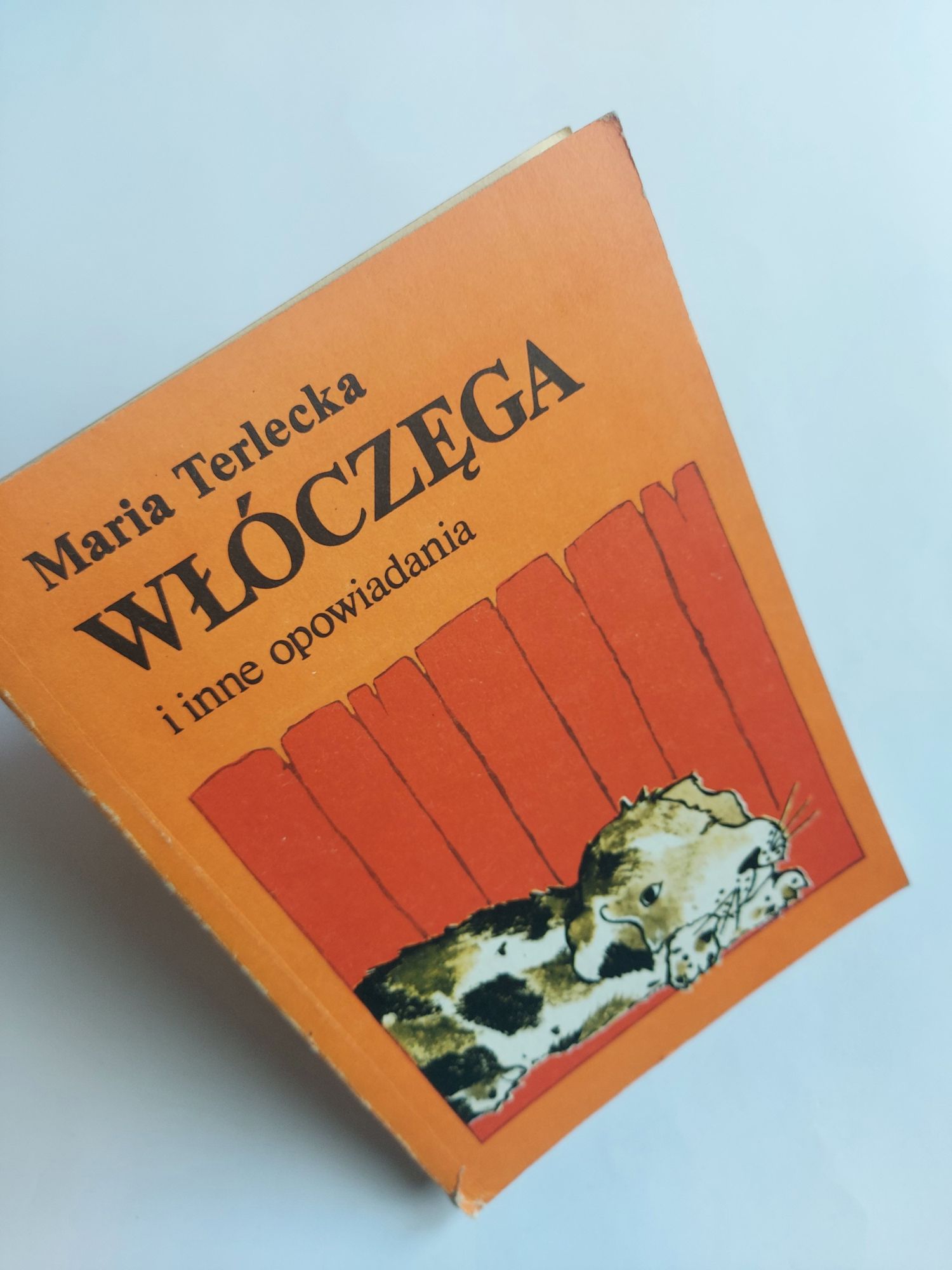 Włóczęga i inne opowiadania - Maria Terlecka