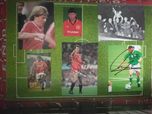 Manchester Utd orginalne własnoręczne  autografy