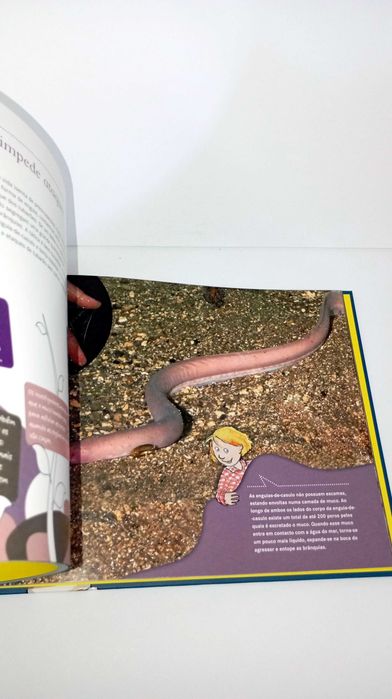 Bem Protegidos - Enciclopédia Juvenil da Natureza