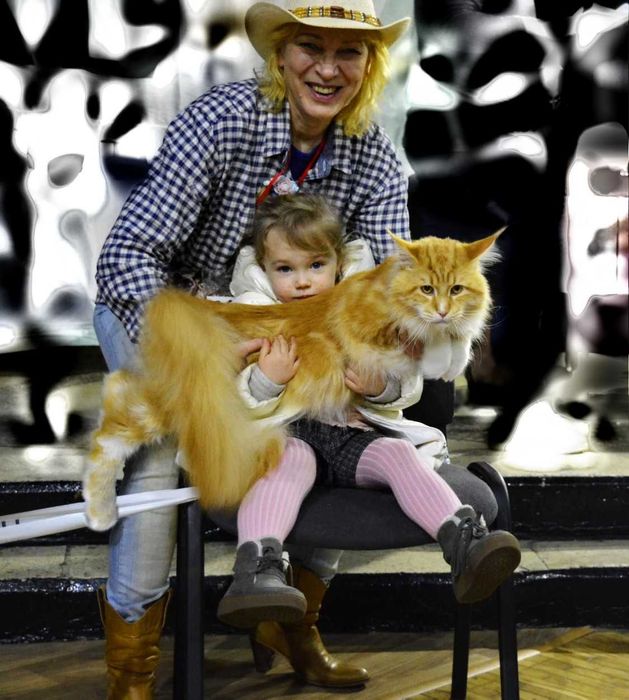 Хлопчик величезний на свій вік, 4міс. Розплідник Акція