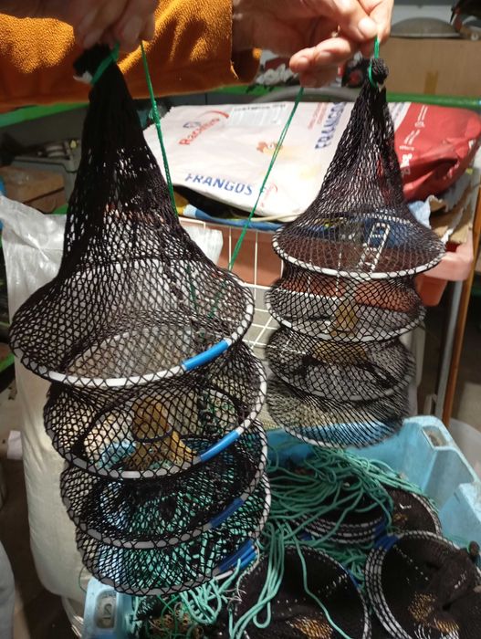 Galrichos para pesca