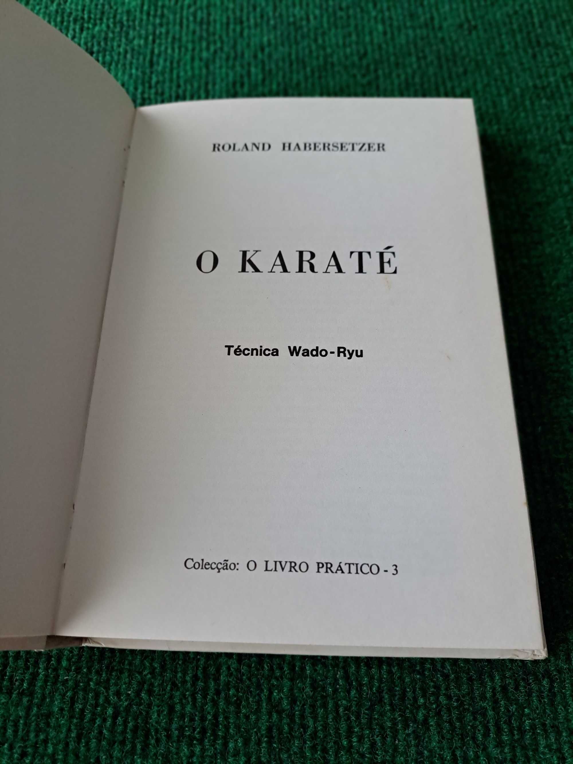 O Karate (Técnica Wado-Ryu)