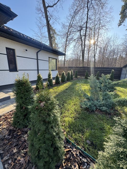 Окремий будинок біля лісу, Ворзель ТОРГ