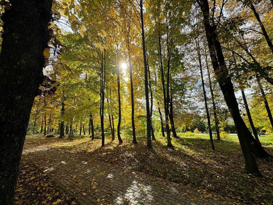 3-кімнатна квартира з РЕМОНТОМ біля парку