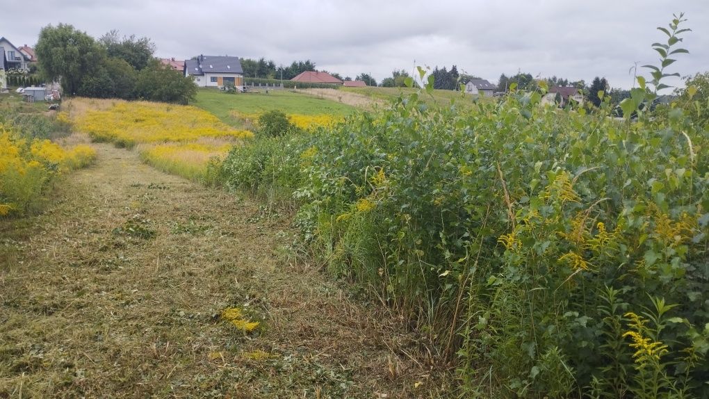 Koszenie nieużytków trawy, bijakowa kosiarka, karczowanie, wycinka,itp