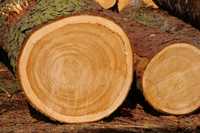 Drewno Tartaczne SOSNA Dluzyca  na Więźbę i deski