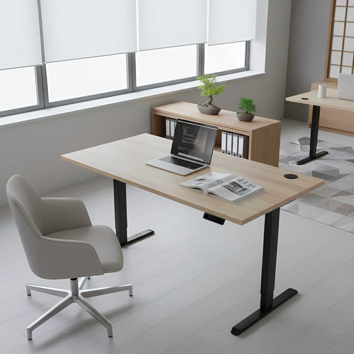 Стіл з електричним регулюванням висоти, одномоторний