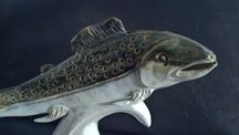 Duża, okazała,Figura ceramiczna ryba pstrąg