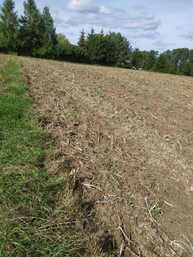 Sprzedam działkę siedliskową z warunkami zabudowy w Motyczu pow. 62ar