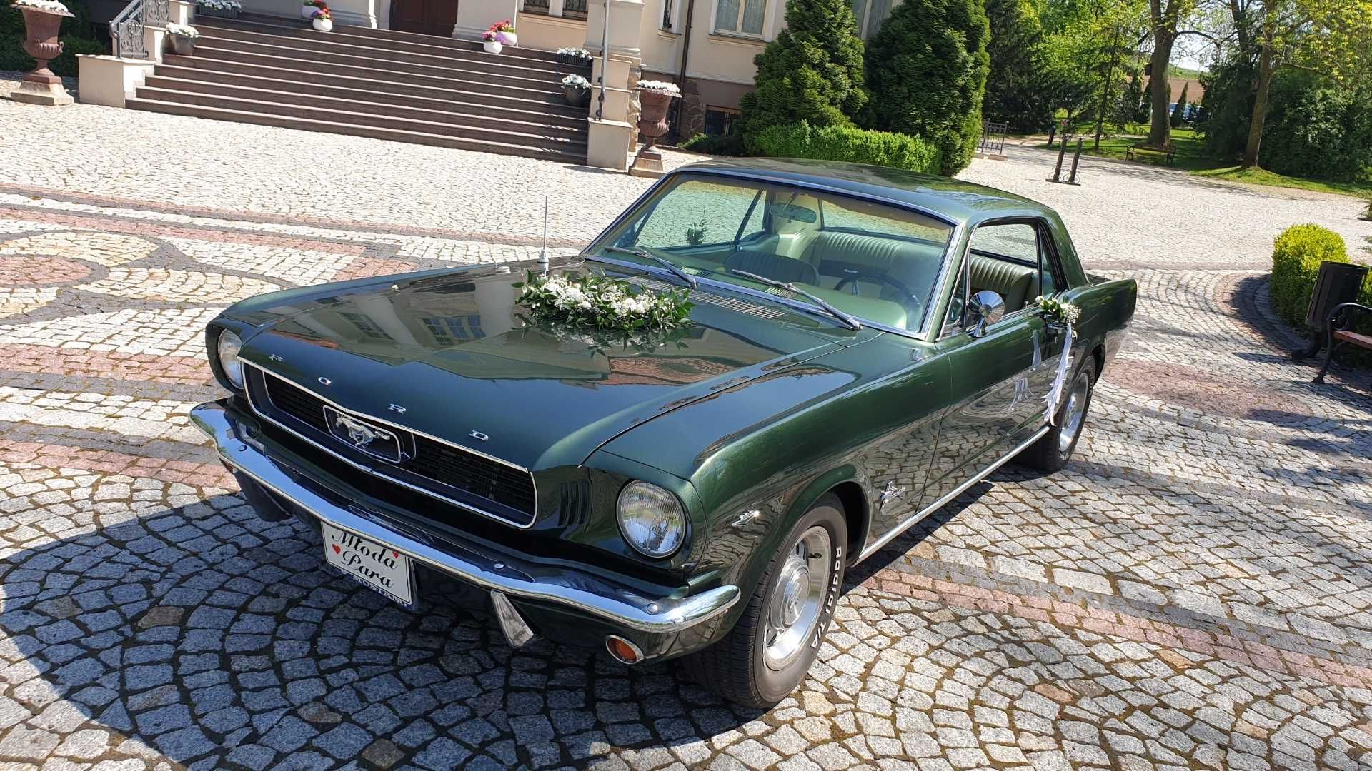 Auto do ślubu Mustang wynajem, samochód na wesele Wrocław łódź Kalisz