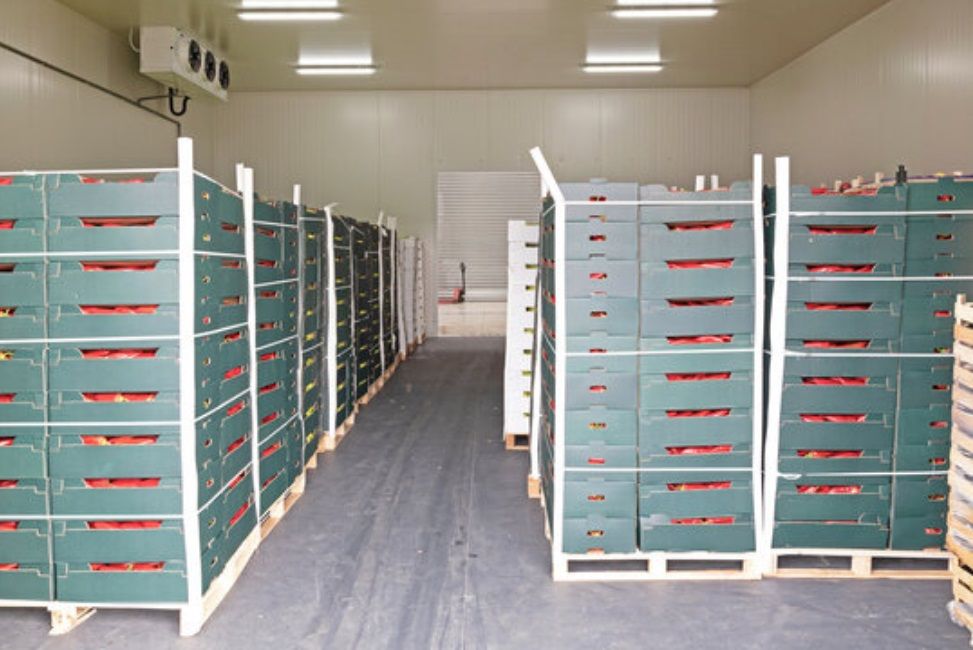 Холодильне обладнання, камери зберігання овочів Рівне Вараш