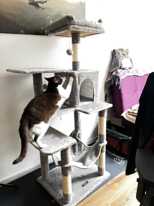 Drapak dla kota Wysoki duży drapak dla kota domek legowisko 143cm NOWY