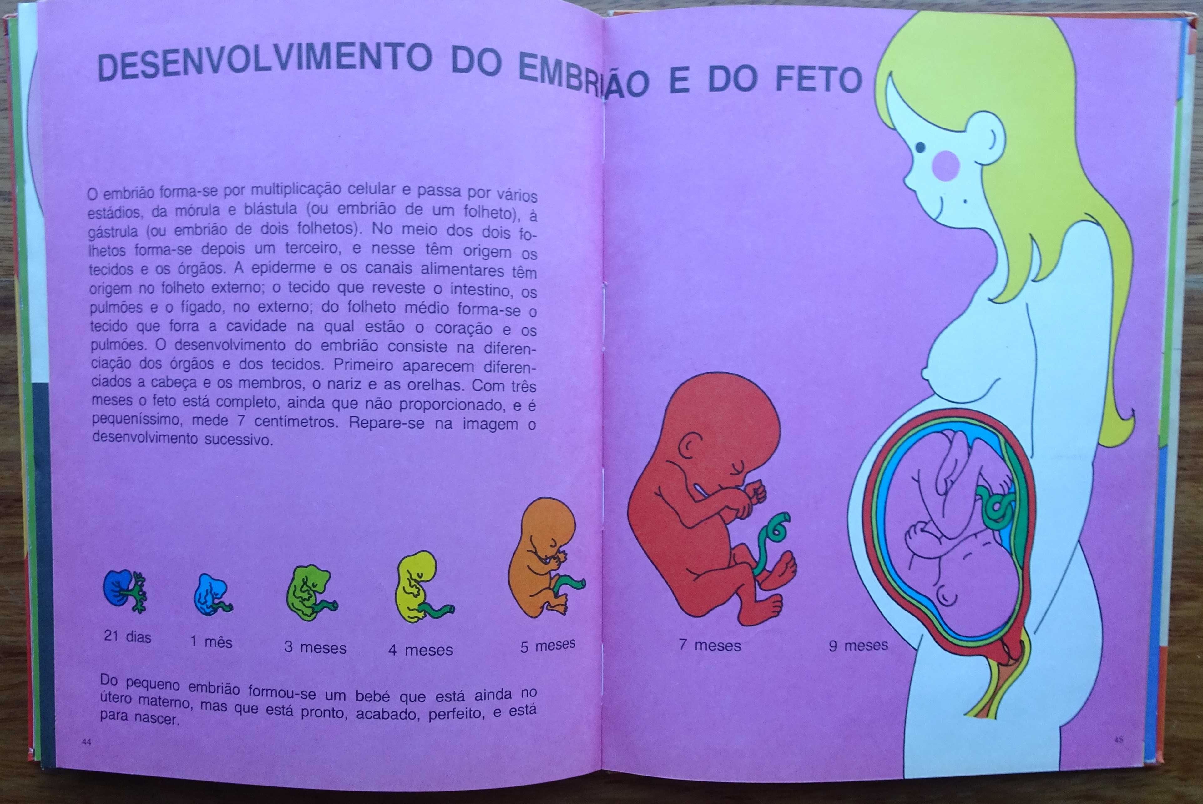 O Segredo das Cegonhas (Porquê-Quando-Como-Donde Nasce Uma Criança)
