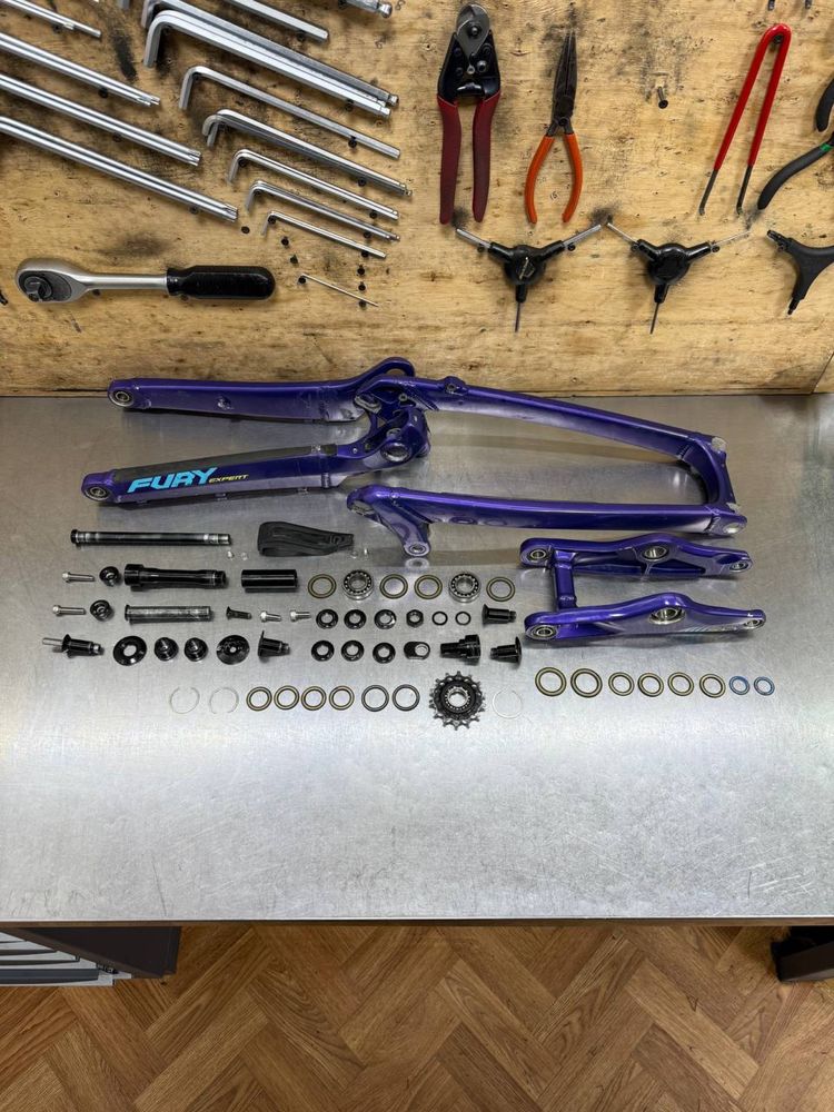 Gt Fury expert carbon 2019