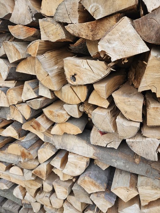 Buk suchy drewno kominkowe 3 letni