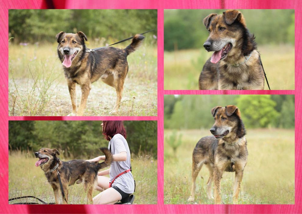 GAZIO - marzy o nowym domu i rodzinie :)