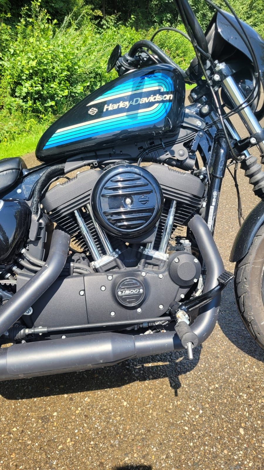 Harley - Davidson FXE