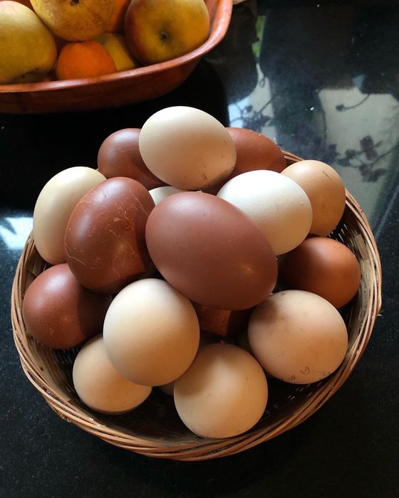 Ovos de galinha, produto rural.
