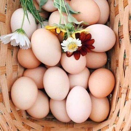 Jajka wiejskie świeże z wolnego wybiegu od szczęśliwych kur paleta jaj