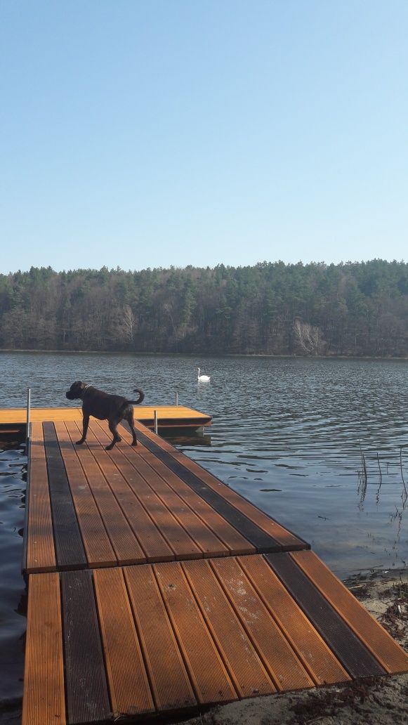 sierpień-wrzesień domek nad jeziorem  z basenem I balią z jacuzzi
