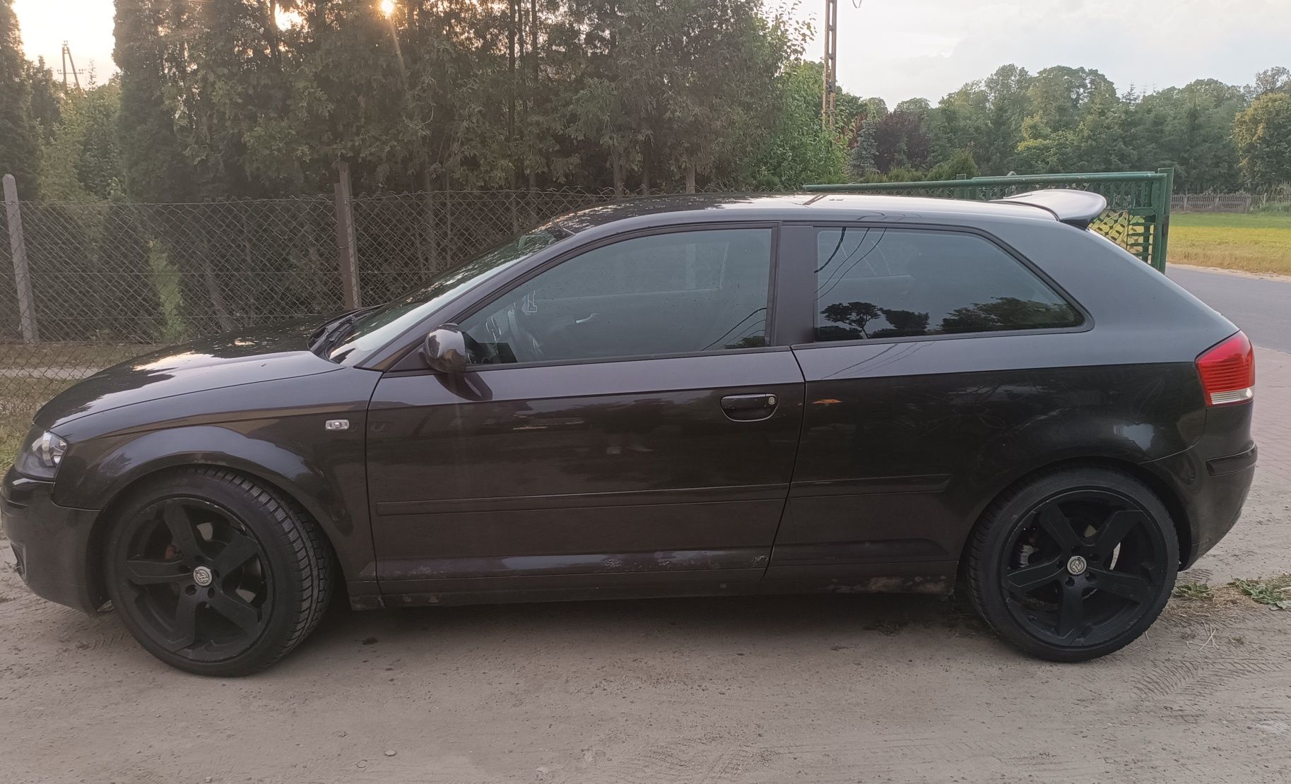 Audi a3 8p 1.9 TDI
