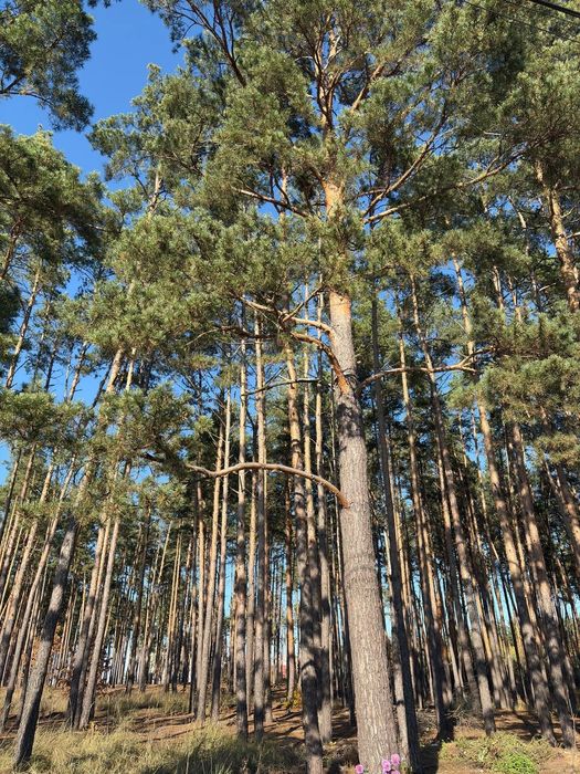 Дуплекс на 3.5сотках в Ірпені, газ, керамоблок.