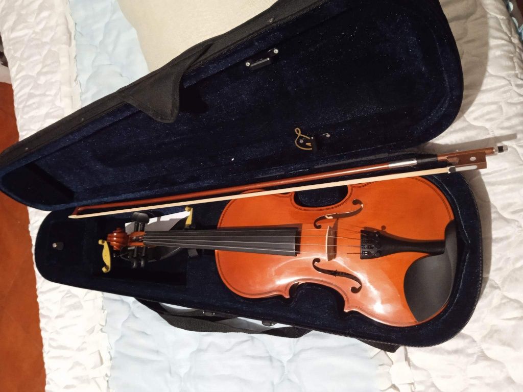 Violino com meio ano