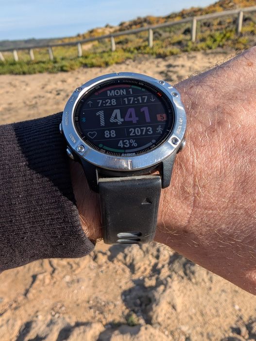Smartwatch Garmin Fénix 6