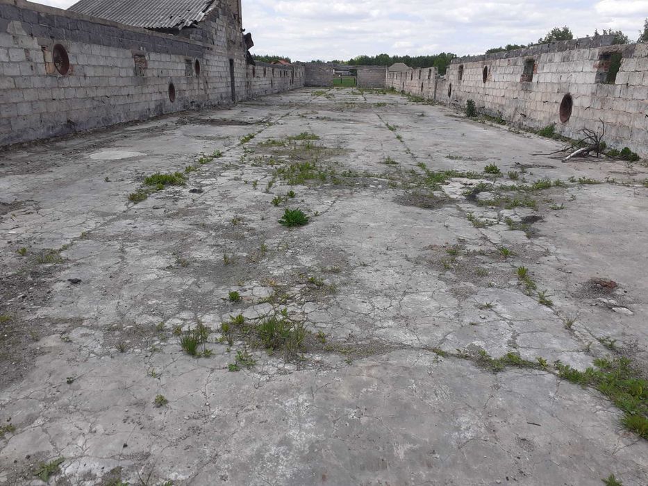Wynajmę kurnik po spaleniu o pow. 1200m2