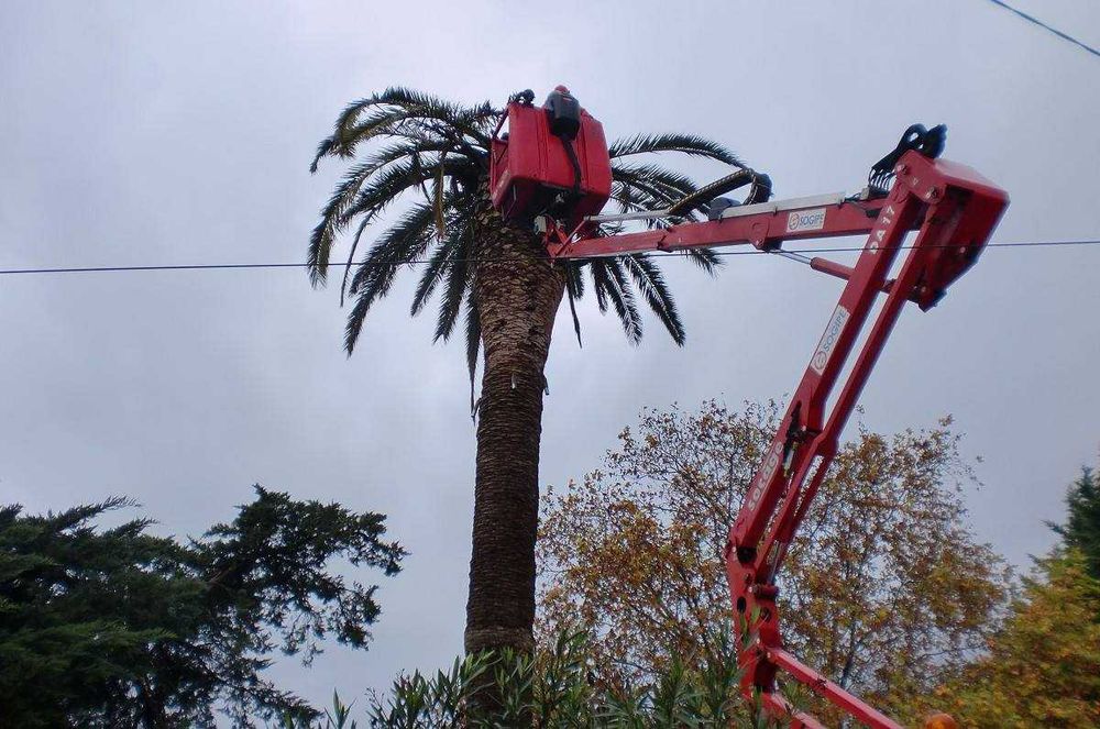 Jardineiro (Bm jardins)