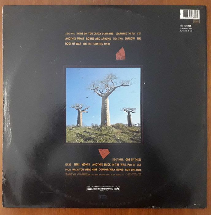 Pink Floyd disco de vinil "Delicate Sound Of Thunder"