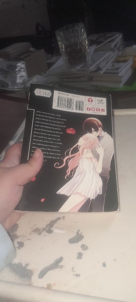 Manga semi novo Love and Heart