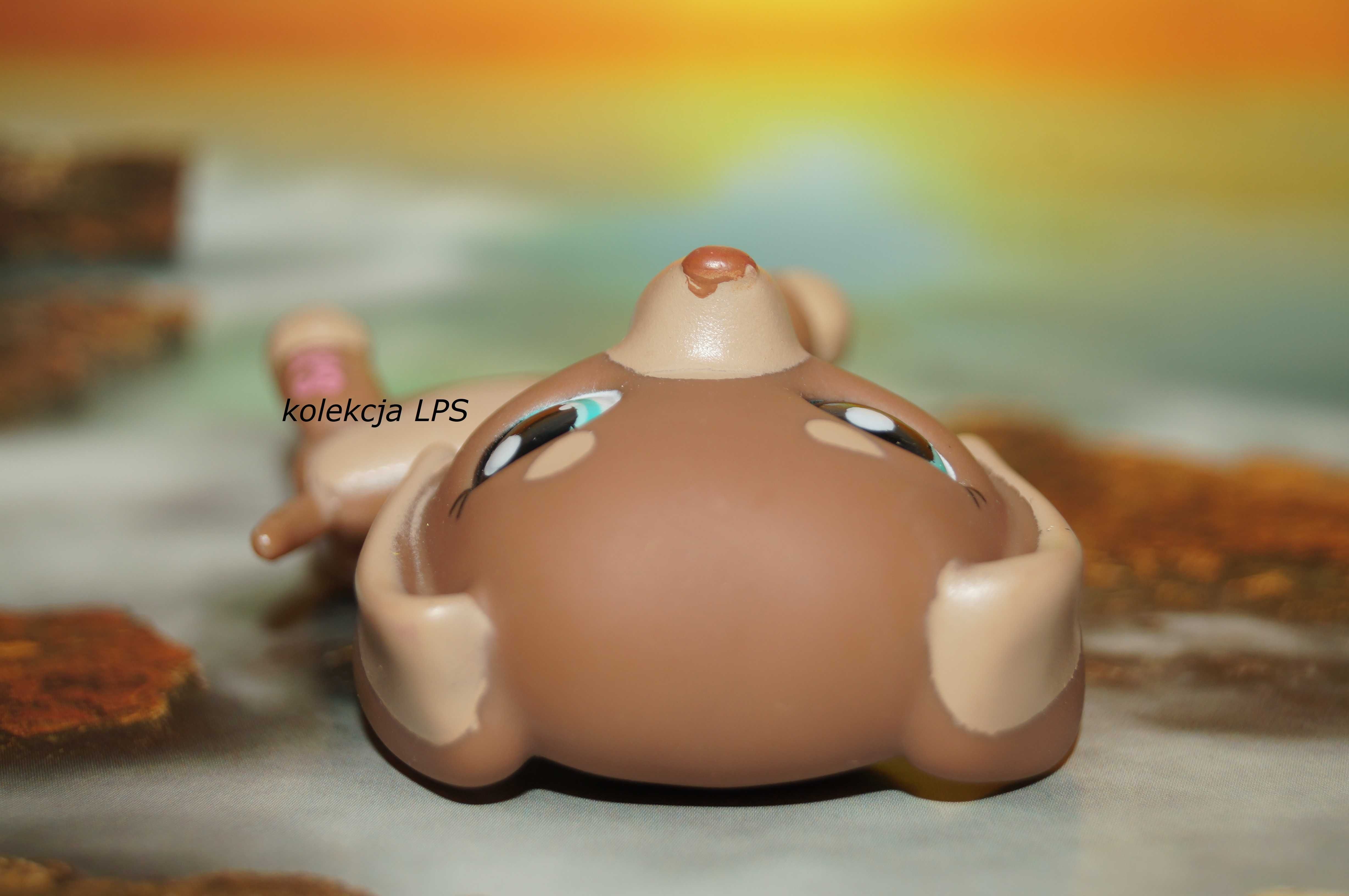 LPS Littlest Pet Shop jamnik #1751 oryginalny pop oryginał kawa