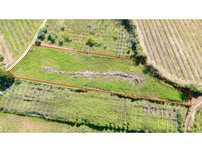Terreno Rustico em Évora de Alcobaça