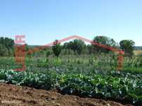 Quinta Agrícola - Castro Roupal - Macedo de Cavaleiros