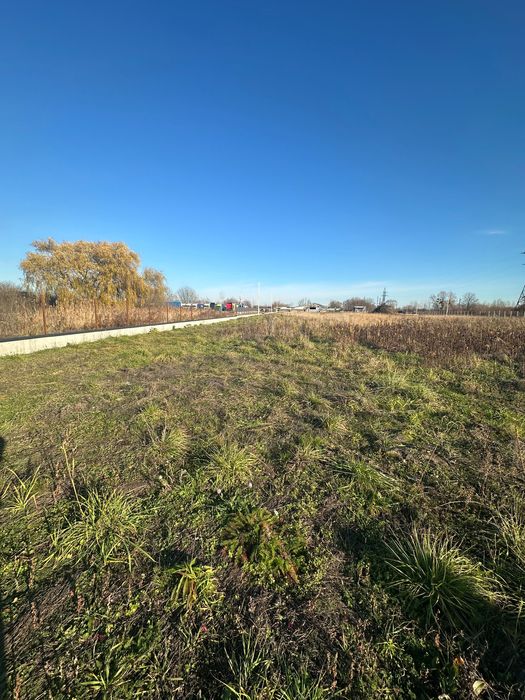 Оренда землі Муроване 104 сот. Комерція склади