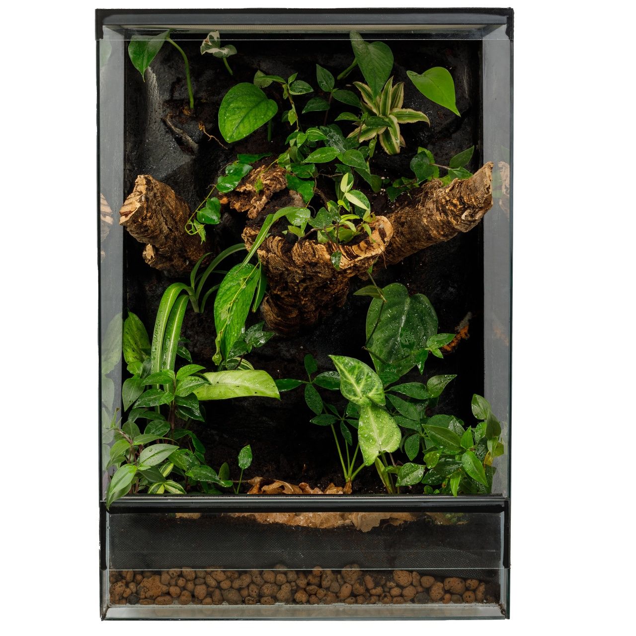 Terrarium paludarium  dla gekona