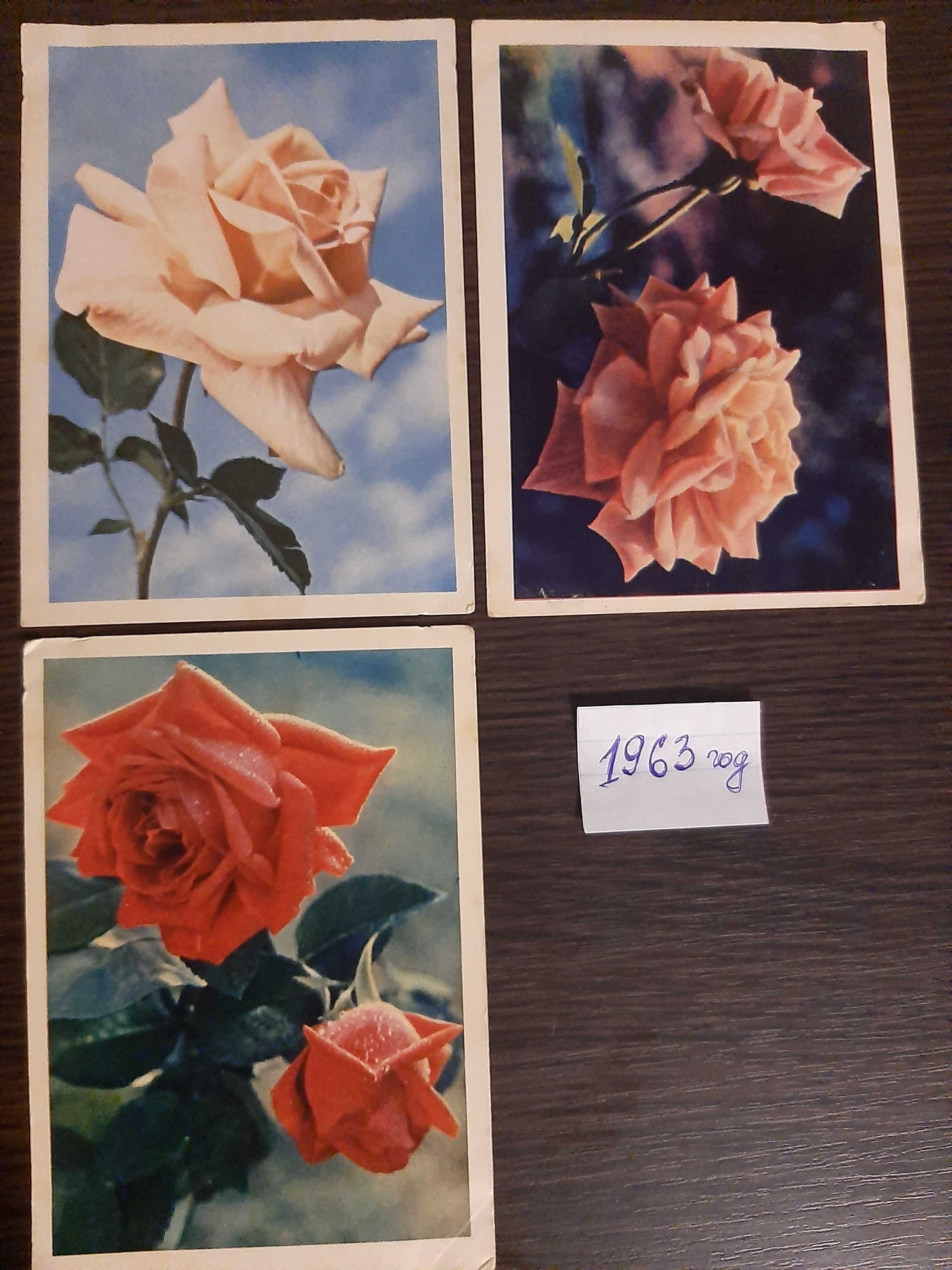 Открытки СССР ретро коллекция " Розы"