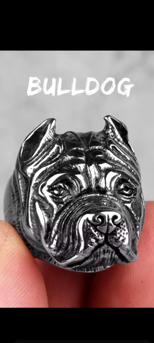 Sygnet buldog model srebrny