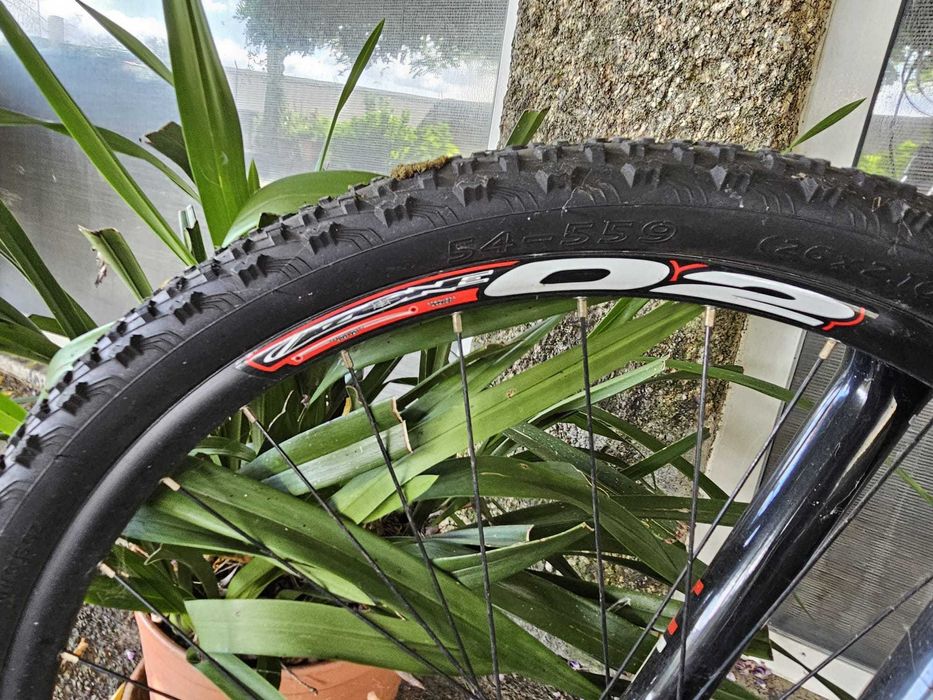 Bicicleta Berg Trail Rock