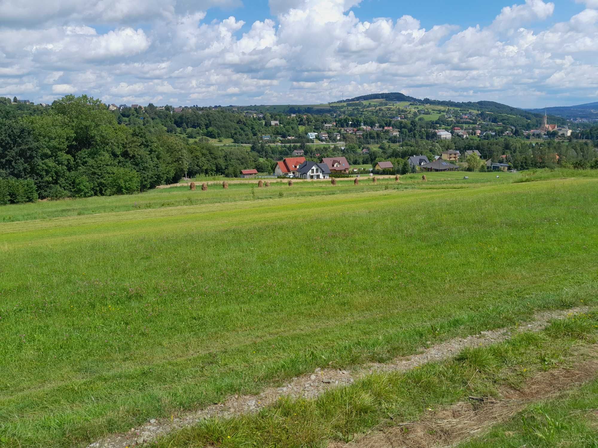 Działa budowlana Grybów ponad 31ar. Bezpośrednio od właściciela!