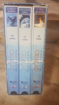 3 cacetes  VHS novas vida humana  ,o Reino  animal, o planeta  terra