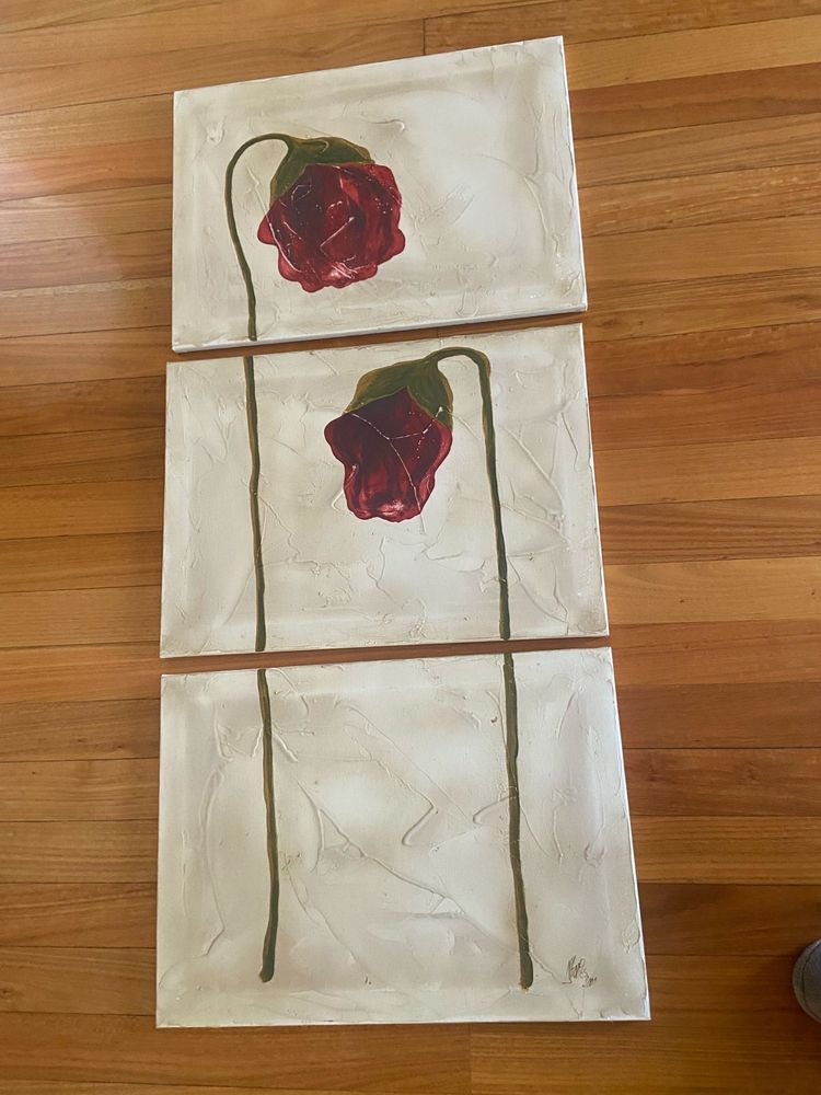 3 Quadros de rosas