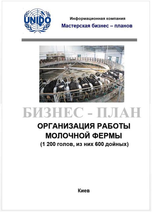 Бизнес план Выращивание КРС на мясо. Коровник. Молочная ферма. Голштин