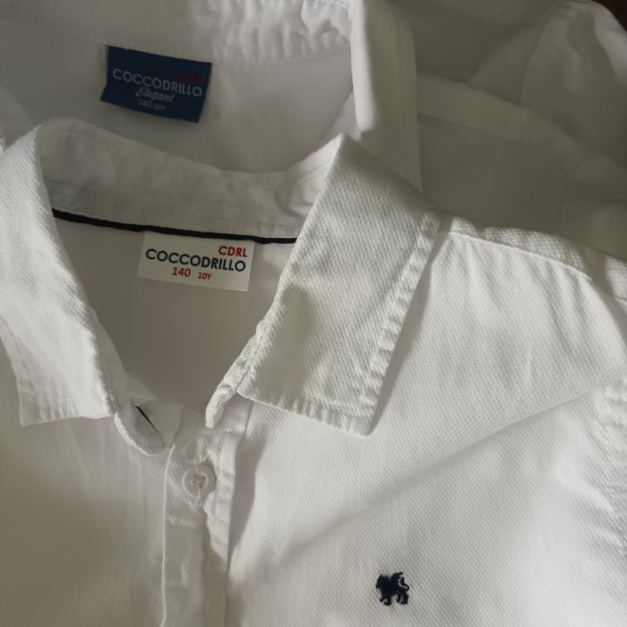 Koszule cocodrillo 140