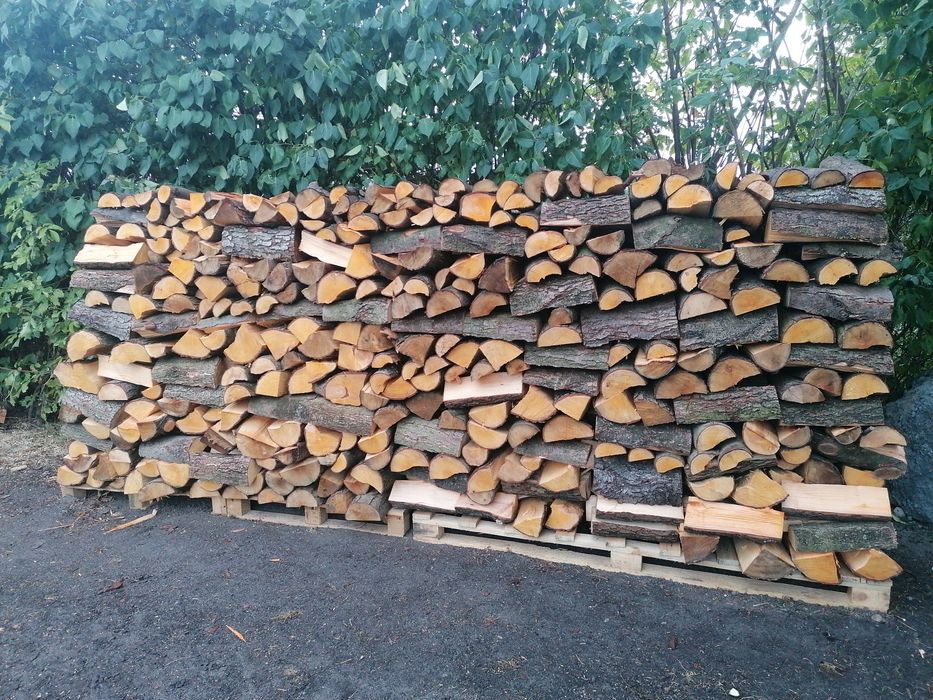 Kominkowe Dąb, Jesion, Brzoza itd