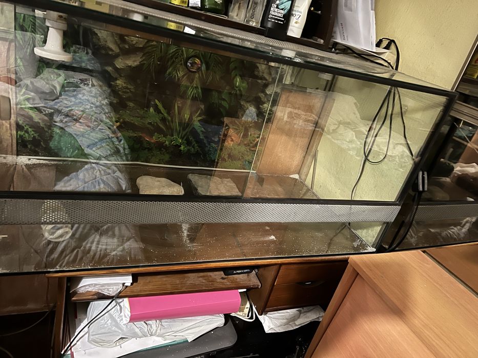 Terrario reptil com casquilhos ceramica